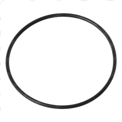 Picture of O-Ring