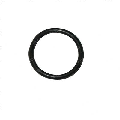 Picture of O-Ring
