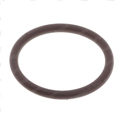 Picture of Oring Crankshaft Position Se