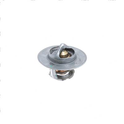 Picture of Thermostat, Gm3.0l Eng