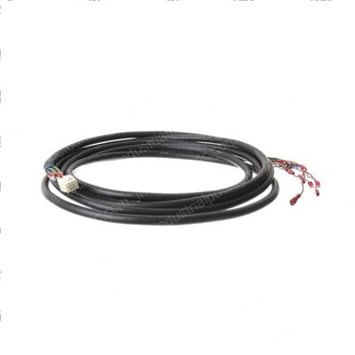 Picture of Harness - Dynamic Rig