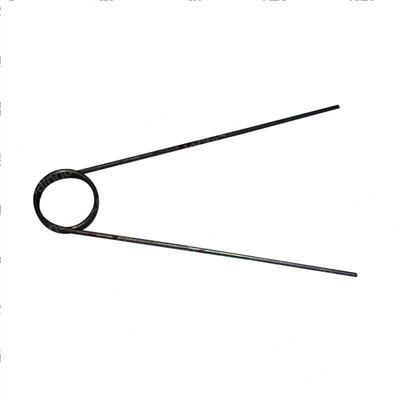 Picture of Spring Torsion