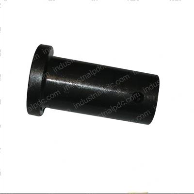 Picture of Ram Spring