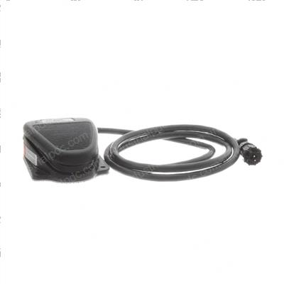 Picture of Switch - Foot