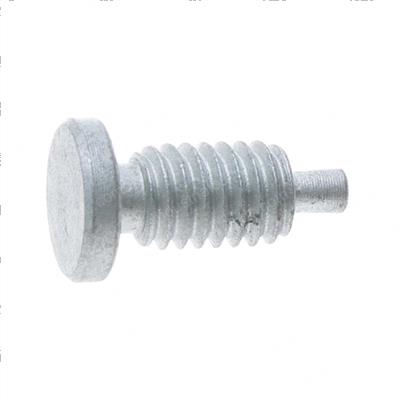 Picture of Bolt