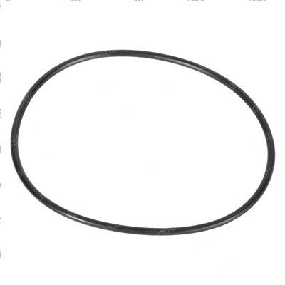 Picture of O-Ring