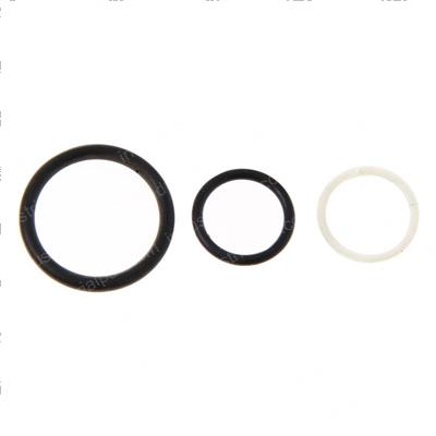 Picture of Seal Kit