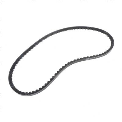 Picture of Belt,alternator,gm 3.0l Eng