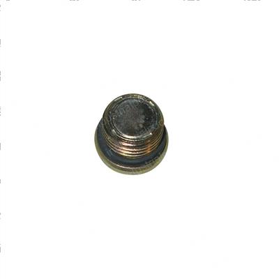 Picture of Plug - Pipe