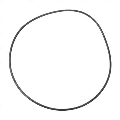Picture of Seal