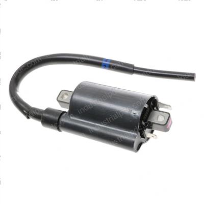 Picture of Ignition Coil