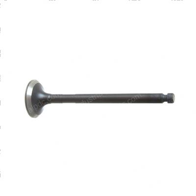 Picture of Valve - Exhaust
