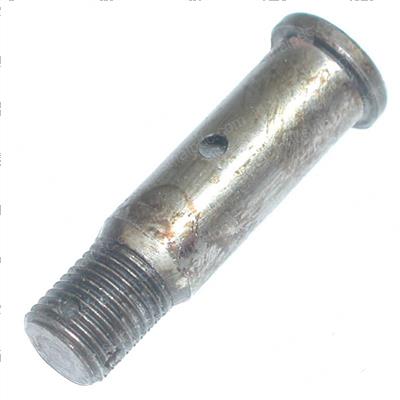 Picture of Pin