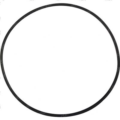 Picture of Ring - Back Up