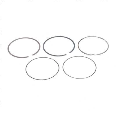 Picture of Ring Set (std)