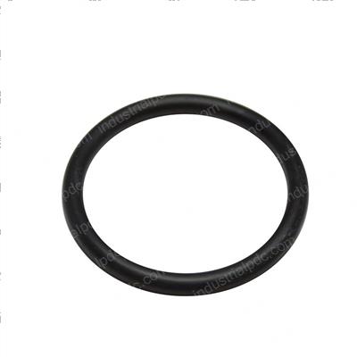 Picture of O-Ring