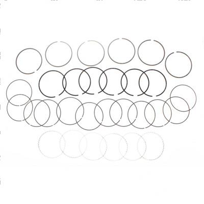 Picture of Ring Set Piston