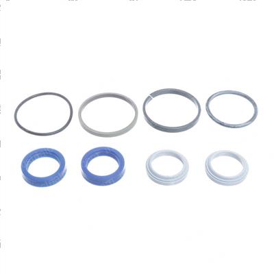 Picture of Oil Seal Kit