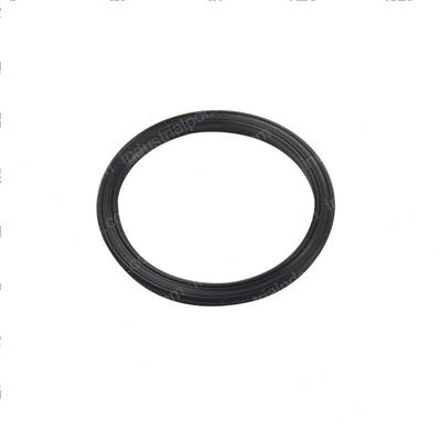 Picture of Seal - Ucup