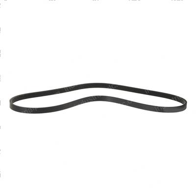 Picture of Belt - Serpentine