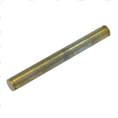 Picture of Pin