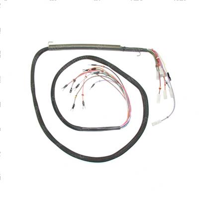 Picture of Harness