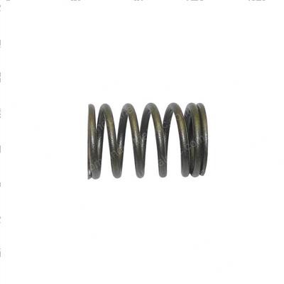 Picture of Spring - Valve Inner