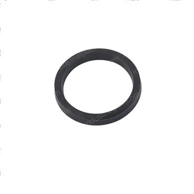 Picture of Seal - Ucup