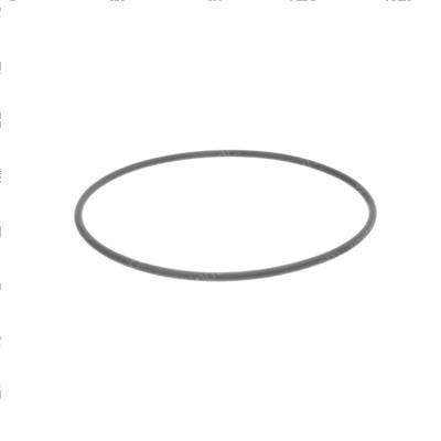 Picture of O-Ring