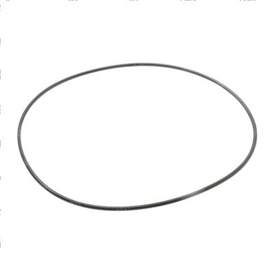Picture of O-Ring