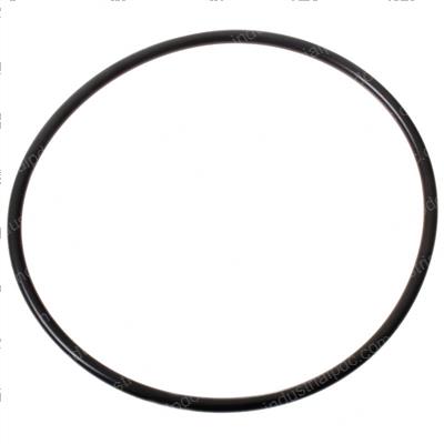 Picture of O-Ring