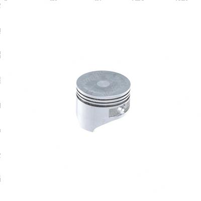 Picture of Piston (std)