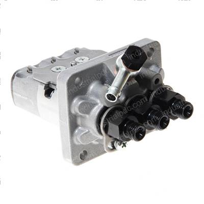 Picture of Injection Pump