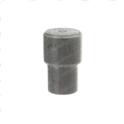 Picture of Pin Pivot