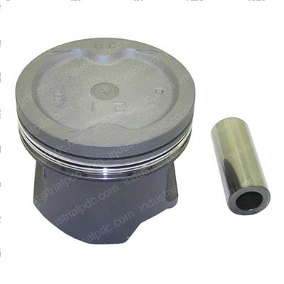 Picture of Piston Sub-Assembly - W/P