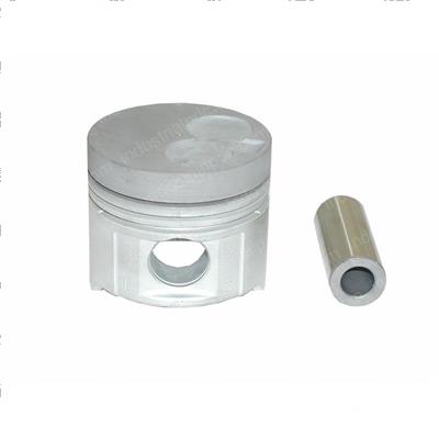 Picture of Piston With Pin - .50mm