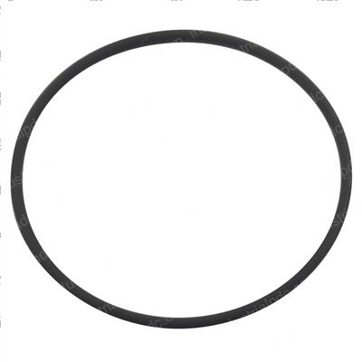 Picture of O-Ring