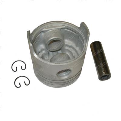 Picture of Piston S/a - W/Wrist Pin 1.00mm