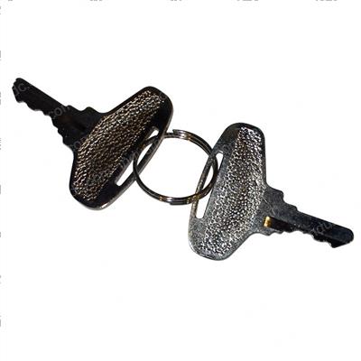 Picture of Ignition Key