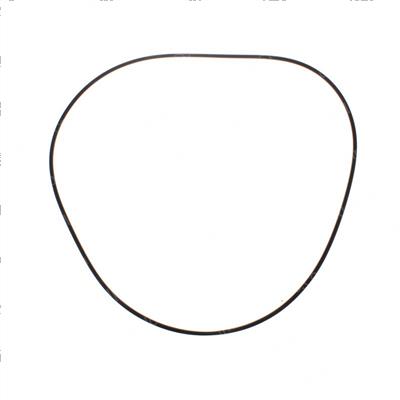 Picture of O-Ring