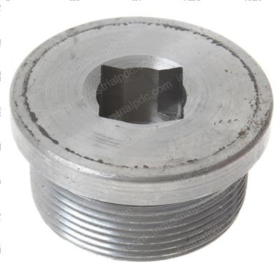 Picture of Plug Screw