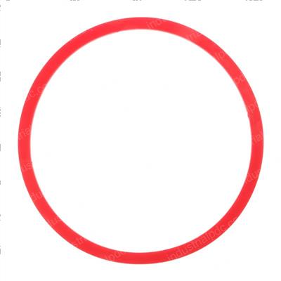 Picture of V-Ring - Front Axle