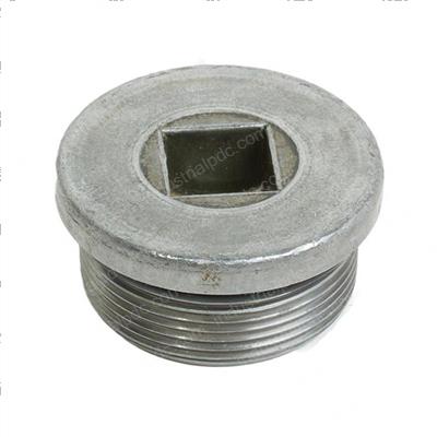 Picture of Plug-Screw