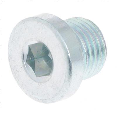 Picture of Screw Plug M10 X 1