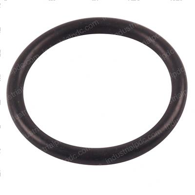 Picture of O-Ring