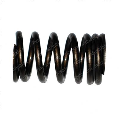 Picture of Spring Valve