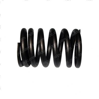 Picture of Spring - Valve