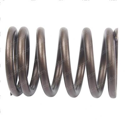 Picture of Spring - Valve Outer