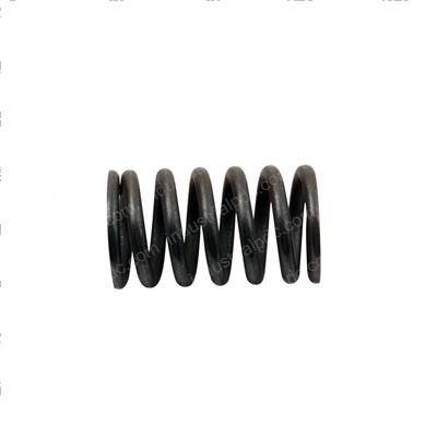 Picture of Valve - Spring