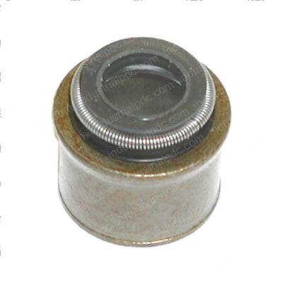Picture of Seal Oil - Valve
